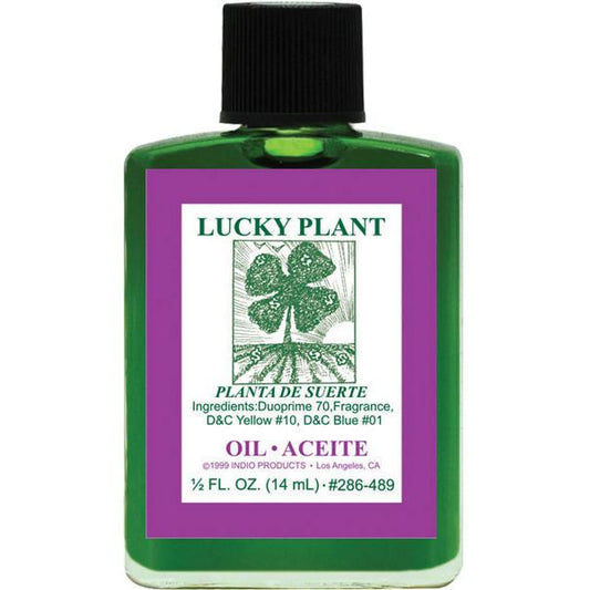 LUCKY PLANT -SPIRITUAL MAGICK INDIO OIL