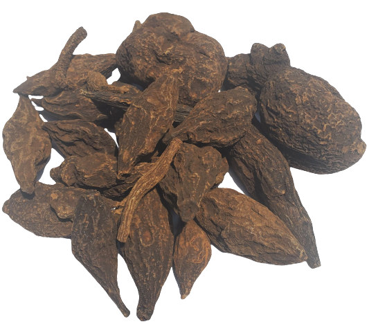 John the Conqueror Root (Packaged by weight)-size and shape may vary